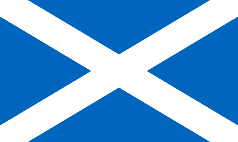 Scottish Saltire Flag Hoodie-Hoodie-Mudchutney