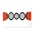 Table Tennis is in my DNA Placemat