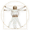 Da Vinci Vitruvian Man Concertina Sticker