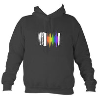 Rainbow Sound Wave Melodeon Hoodie-Hoodie-Charcoal-Mudchutney