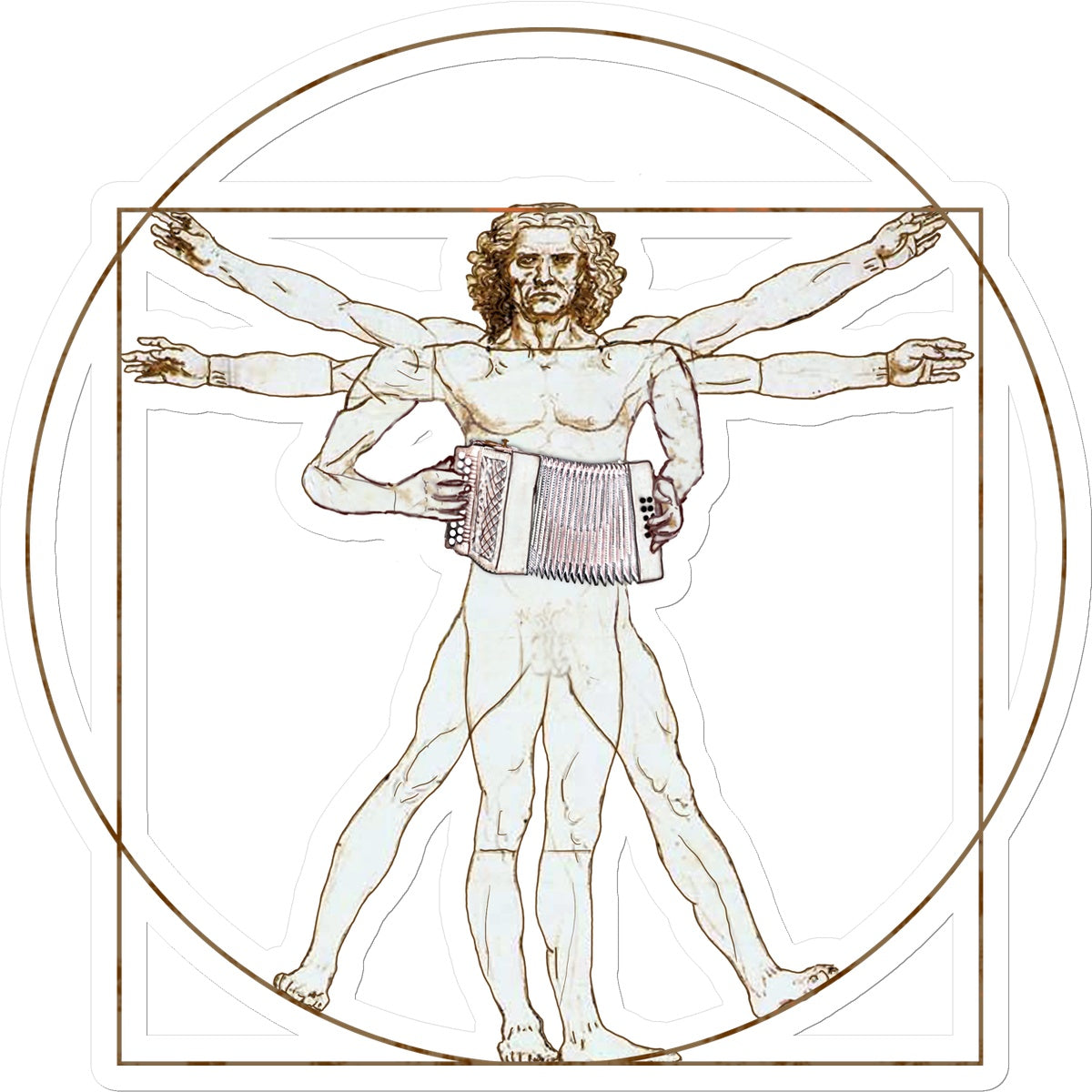 Da Vinci Vitruvian Man Melodeon Sticker