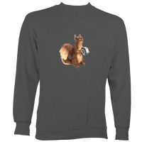 Squirrel playing Concertina Sweatshirt