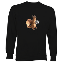 Squirrel playing Concertina Sweatshirt