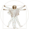 Da Vinci Vitruvian Man Accordion Sticker