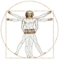 Da Vinci Vitruvian Man Concertina Sticker