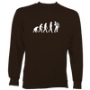 Evolution of Accordion Players Sweatshirt