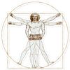 Da Vinci Vitruvian Man Concertina Sticker