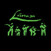 Lúnasa Band Ladies Fitted T-shirt