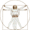 Da Vinci Vitruvian Man Playing Concertina T-Shirt - T-shirt - - Mudchutney