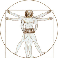 Da Vinci Vitruvian Man Playing Concertina T-Shirt - T-shirt - - Mudchutney
