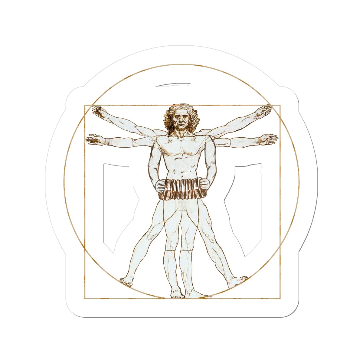 Da Vinci Vitruvian Man Concertina Sticker