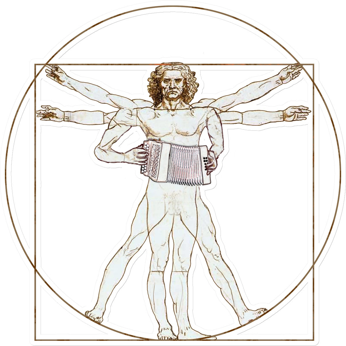 Da Vinci Vitruvian Man Melodeon Sticker