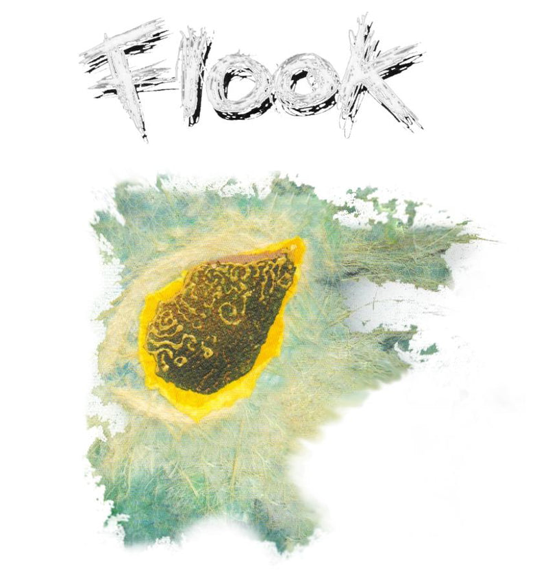 Flook "Haven" Men's T-shirt - T-shirt - - Mudchutney