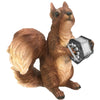 Concertina Playing Squirrel T-shirt - T-shirt - - Mudchutney