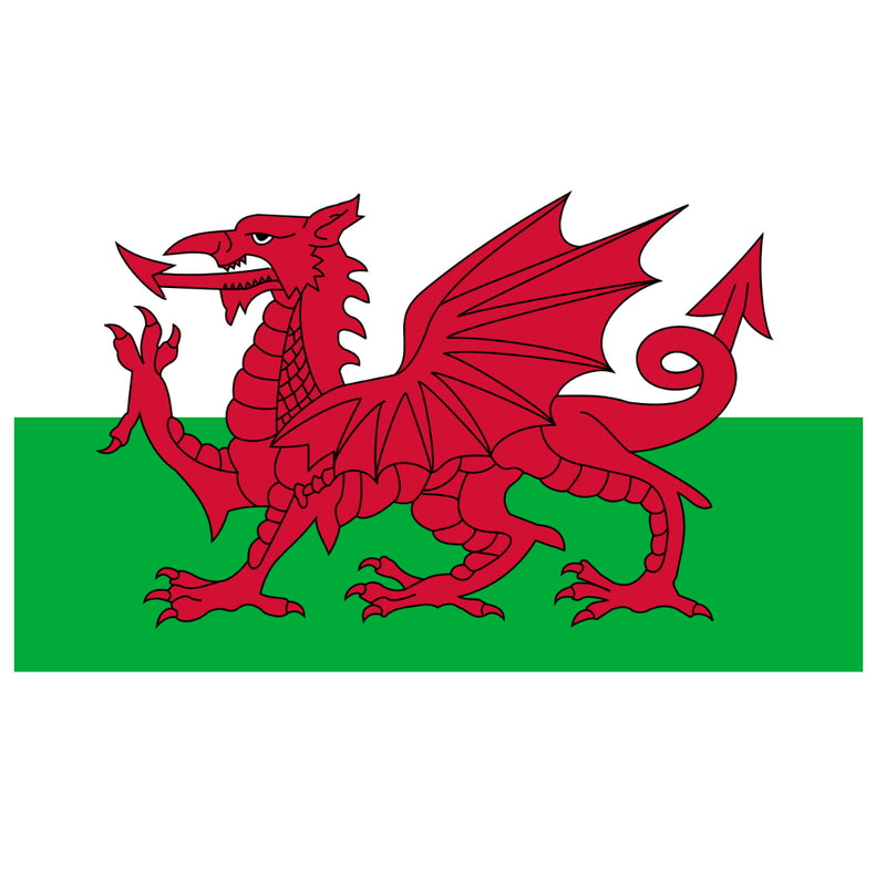 Welsh Dragon Flag Hoodie-Hoodie-Mudchutney